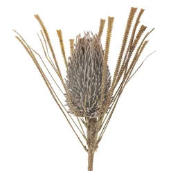 Bloomingville Palmflower Stiel, Künstliche Blume