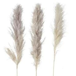 Boltze Dekozweig Pampasgras dreiteilig