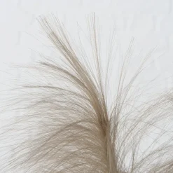 Boltze Dekozweig Schilf