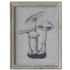 Chic Antique Bild mit Pilzmotiv und Naturrahmen