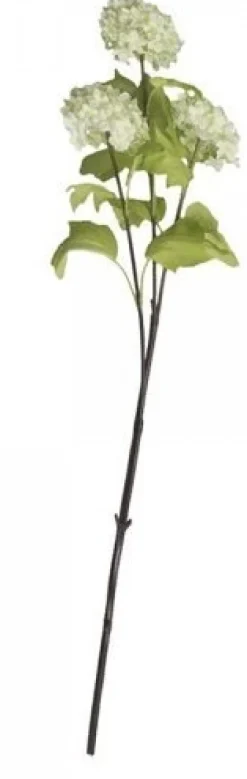 Chic Antique Fleur Echter Schneeball lime