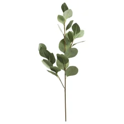 Chic Antique Fleur Eukalyptus Ast