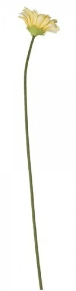 Chic Antique Fleur Gerbera