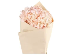 Chic Antique Fleur getrocknete Hortensie Blume