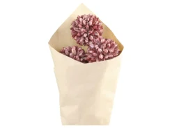 Chic Antique Fleur getrocknete Schneeball Blumen farbig