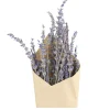 Chic Antique Fleur getrocknete Lavendel Blumen