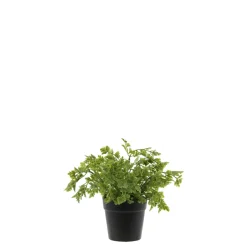 Chic Antique Fleur künstliche Petersilie