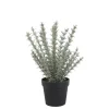 Chic Antique Fleur künstlicher Rosmarin Topf