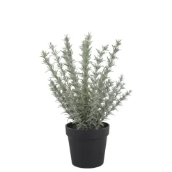 Chic Antique Fleur künstlicher Rosmarin Topf