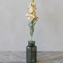 Chic Antique Fleur Löwenmäuler