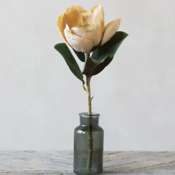 Chic Antique Fleur Magnolia