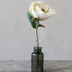 Chic Antique Fleur Magnolia