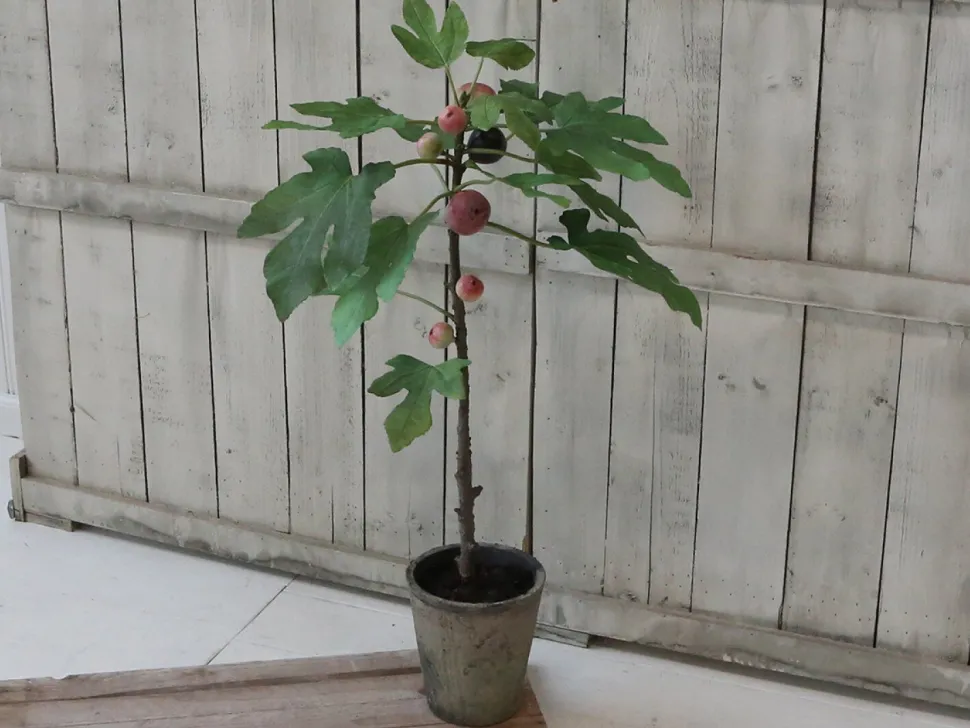 Chic Antique Künstlicher Feigenbaum mit altem Übertopf