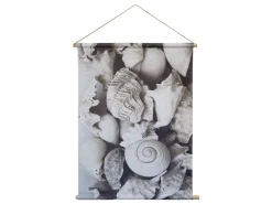 Chic Antique Muscheln Leinwandbild zum Aufhängen