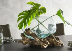 Faktorei Unikat-Dekowurzel mit Glasschale