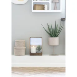 House Nordic Aloe Vera Künstliche Grünpflanze