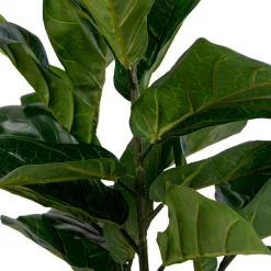 House Nordic Künstlicher Geigenblattbaum, Grünpflanze