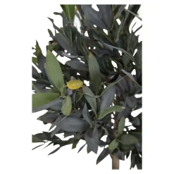 House Nordic Künstlicher Olivenbaum Stamm