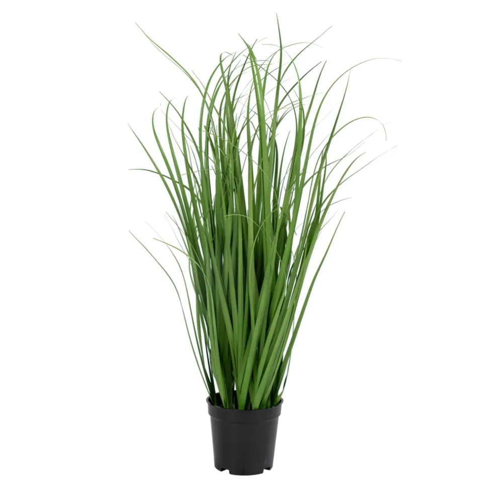 House Nordic Künstliches Poa Gras von House Nordic