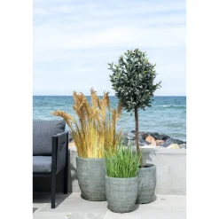 House Nordic Künstliches Poa Gras von House Nordic