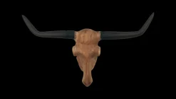 HSM Collection Wanddekoration Büffelkopf