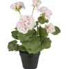 IB Laursen Geranie in Topf rosa Blumen