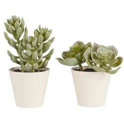 IB Laursen Künstliche Sukkulente 2er Set im Topf Sedum und Echeverie