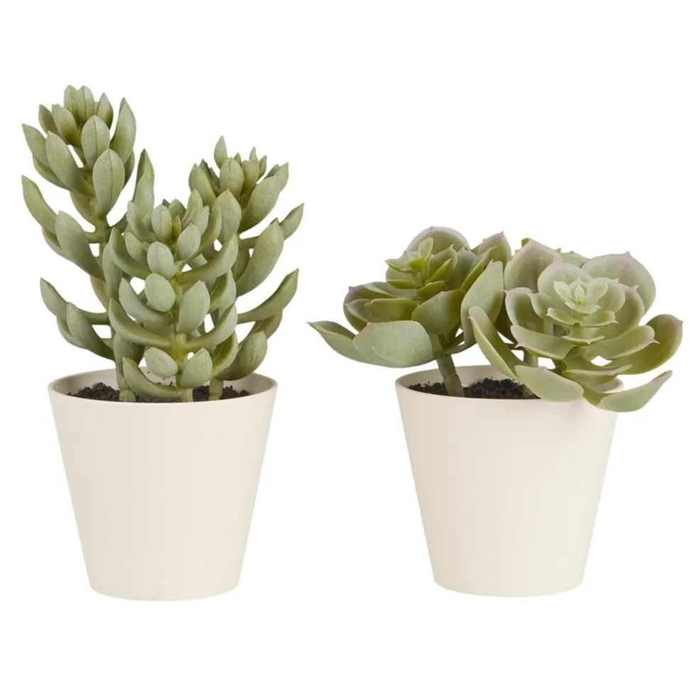 IB Laursen Künstliche Sukkulente 2er Set im Topf Sedum und Echeverie