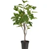 IB Laursen Künstlicher Feigenbaum in Topf