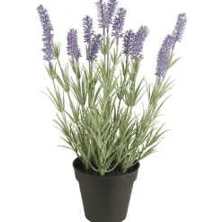 IB Laursen Lavendelpflanze in Topf