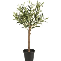 IB Laursen Olivenbaum in Topf